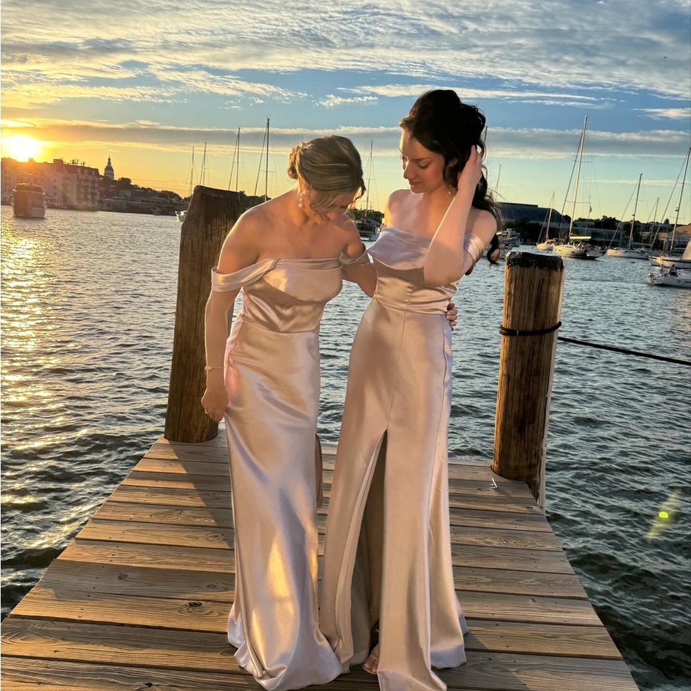 AW Laurinda Dress! Taupe color! Used once! - Picture 7 of 8